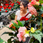 The mother who knows everything. 献身歌の訳